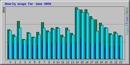 Hourly usage for June 2026